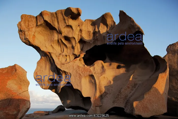 : Australia, South Australia, Kangaroo Island : Australia, South Australia, Kangaroo Island