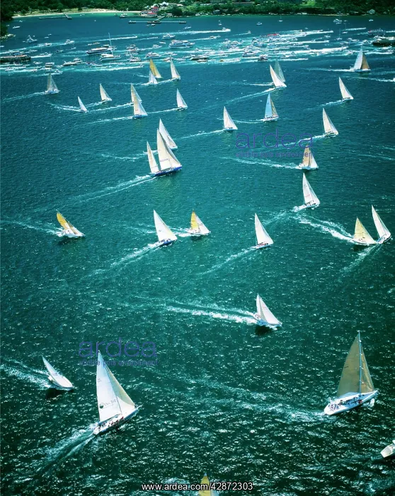  : Australia - Sydney to Hobart yacht race