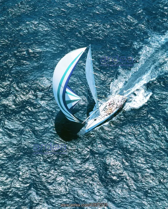 : Australia - Sydney to Hobart yacht race : Australia - Sydney to Hobart yacht race