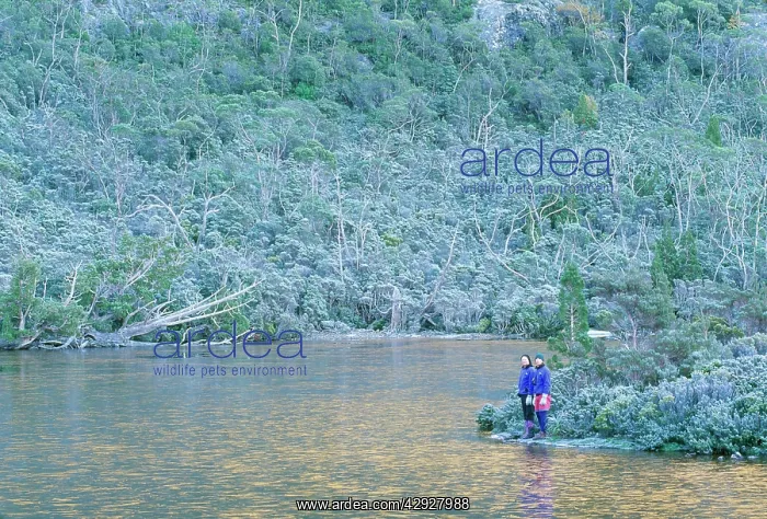 : AUSTRALIA, Tasmania, Cradle Mountain - very heavy : AUSTRALIA, Tasmania, Cradle Mountain - very heavy