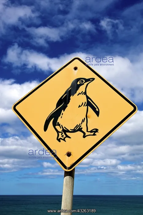 : Australia, Tasmania, Stanley. Street sign : Australia, Tasmania, Stanley. Street sign