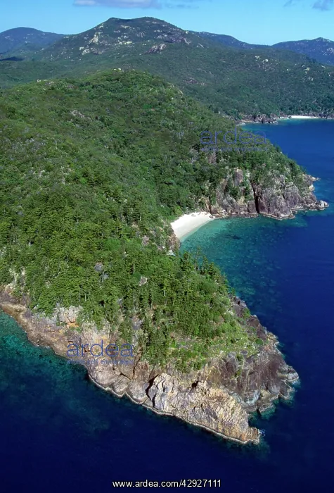 : AUSTRALIA - 'The Wood PileI, Hook Island, Whitsunday Group : AUSTRALIA - 'The Wood PileI, Hook Island, Whitsunday Group
