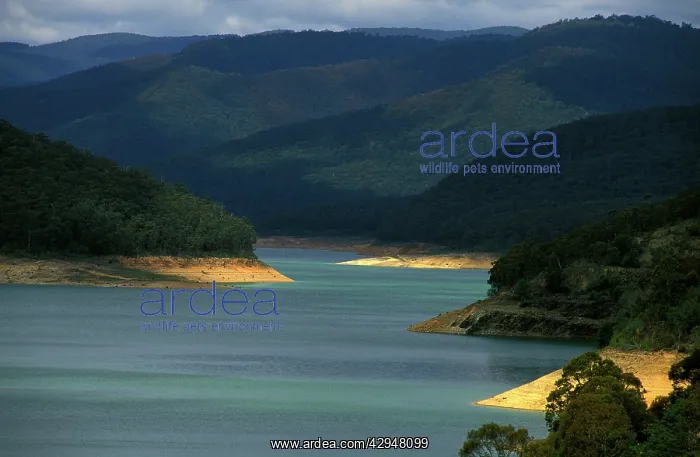 : Australia - Upper Yarra Reservoir dam, part of : Australia - Upper Yarra Reservoir dam, part of