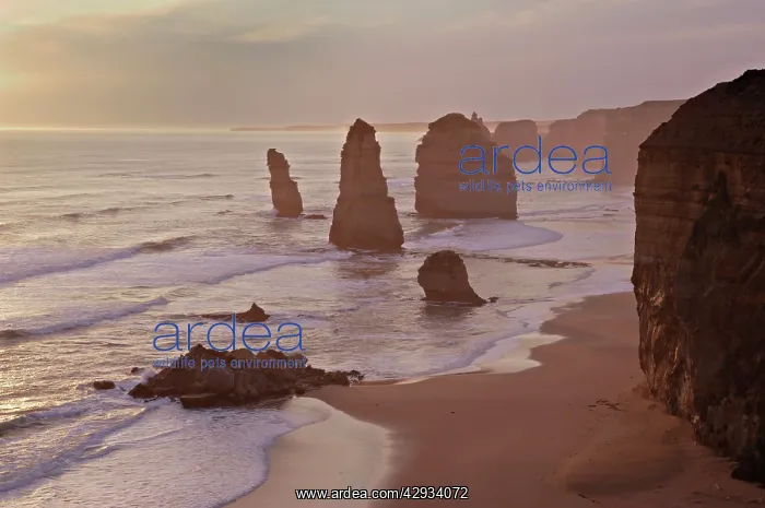 : Australia, Victoria - The Twelve Apostles with : Australia, Victoria - The Twelve Apostles with