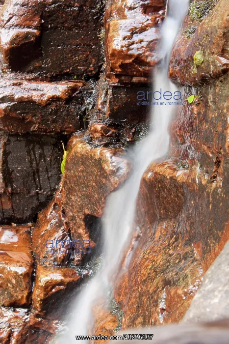 : Australia, Victoria, Grampians National : Australia, Victoria, Grampians National