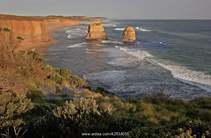 : Australia, Victoria - Looking east to the Twelve Apostles : Australia, Victoria - Looking east to the Twelve Apostles