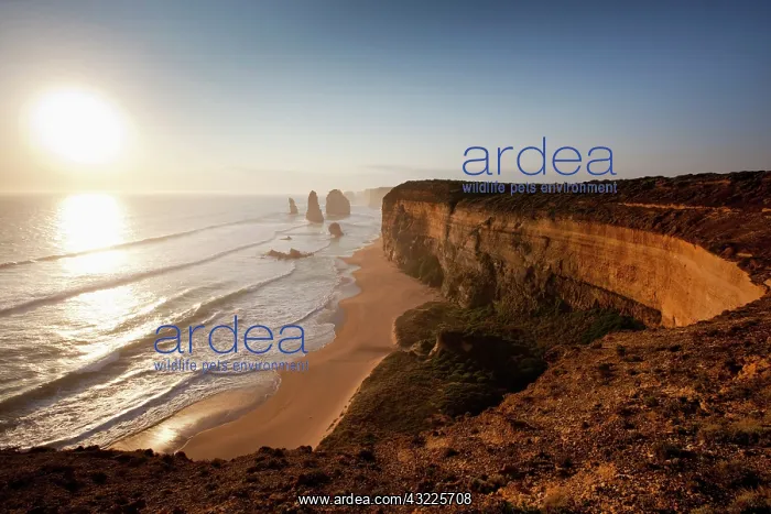 : Australia, Victoria, Port Campbell National : Australia, Victoria, Port Campbell National