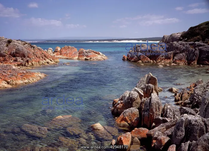 : Australia - View south from Eddystone Point across : Australia - View south from Eddystone Point across