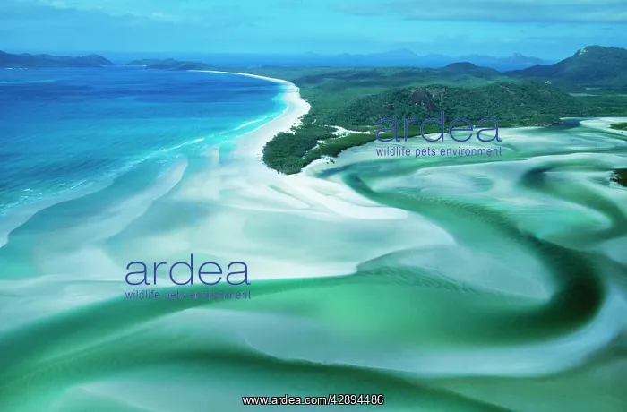 : Australia - Whitehaven Beach, Whitsunday Island : Australia - Whitehaven Beach, Whitsunday Island