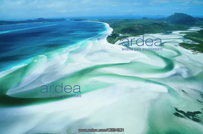 : Australia - Whitsunday Island Hill inlet, Whitehaven Beach : Australia - Whitsunday Island Hill inlet, Whitehaven Beach