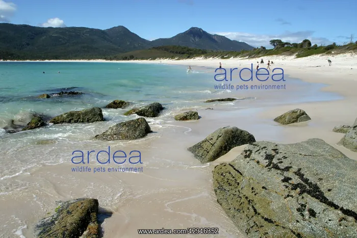 : Australia - Wineglass Bay : Australia - Wineglass Bay