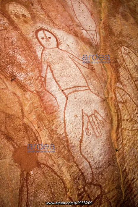 : Australian Aboriginal rock art : Australian Aboriginal rock art