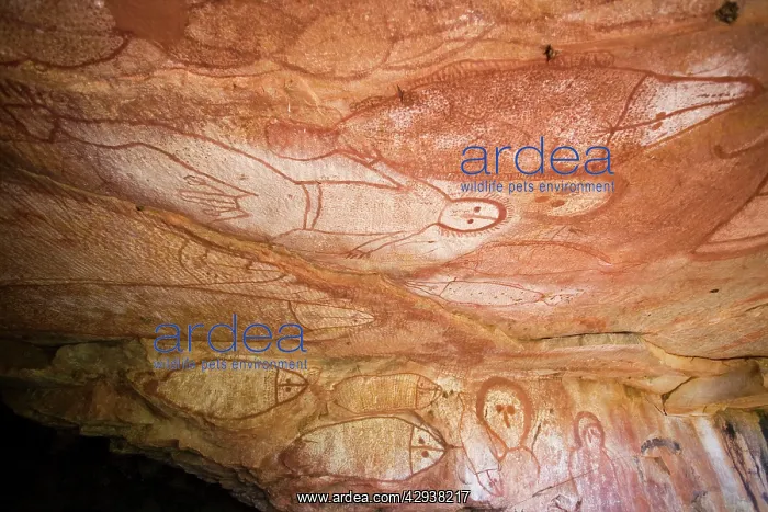 : Australian Aboriginal rock art : Australian Aboriginal rock art