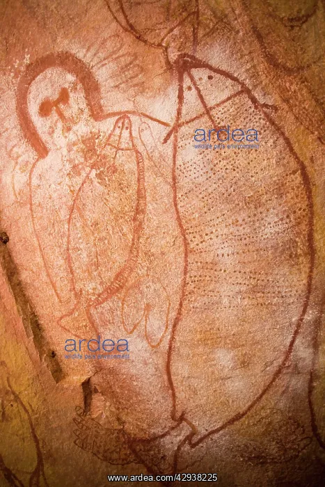 : Australian Aboriginal rock art : Australian Aboriginal rock art