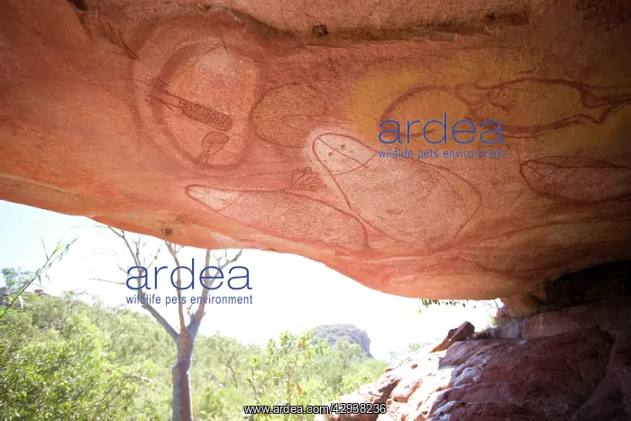 : Australian Aboriginal rock art : Australian Aboriginal rock art