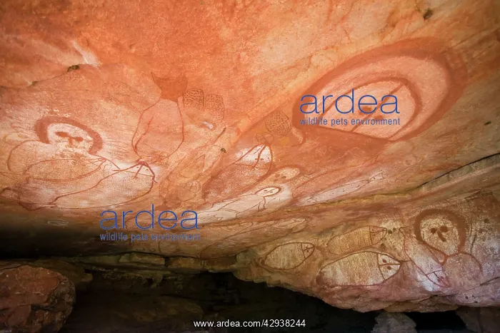 : Australian Aboriginal rock art : Australian Aboriginal rock art