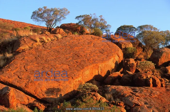 : Australian Granite : Australian Granite