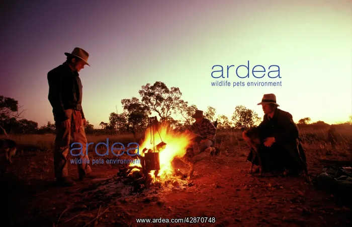 : Australians - Campfire scene : Australians - Campfire scene