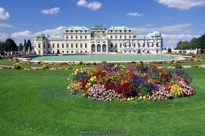 : Austria. Belvedere Castle, summer garden : Austria. Belvedere Castle, summer garden