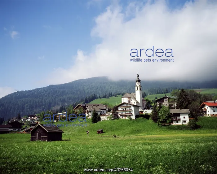 : Austria, Karnten, Carinthia, View of Hochosterwitz : Austria, Karnten, Carinthia, View of Hochosterwitz