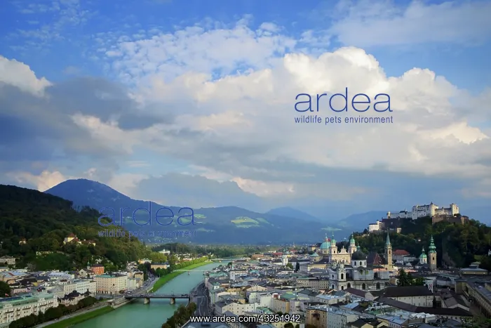: Austria, Salzburg. Overview along the Salzach : Austria, Salzburg. Overview along the Salzach