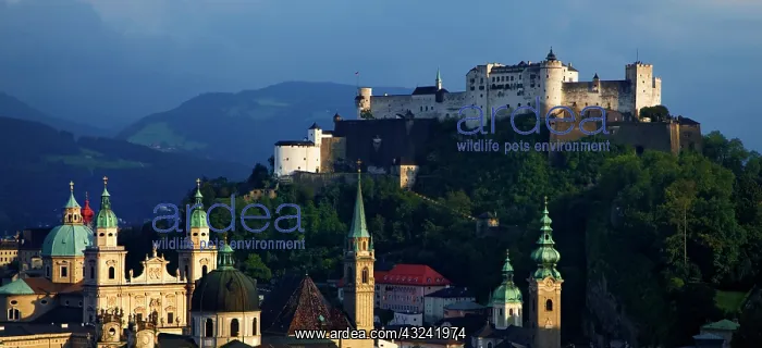 : Austria, Salzburg. Sunset view of Hohensalzburg : Austria, Salzburg. Sunset view of Hohensalzburg