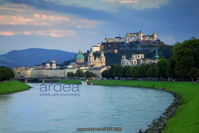  : Austria, Salzburg. View along the Salzach