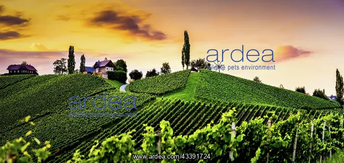 : Austria, south styria travel destination. Tourist : Austria, south styria travel destination. Tourist