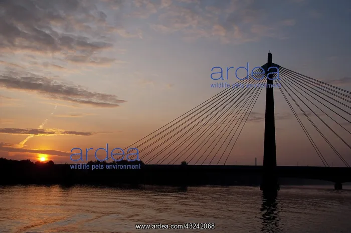  : Austria, Vienna. Bridge across the Danube
