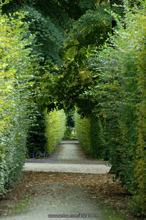 : Austria, Vienna. Maria Theresa's baroque : Austria, Vienna. Maria Theresa's baroque