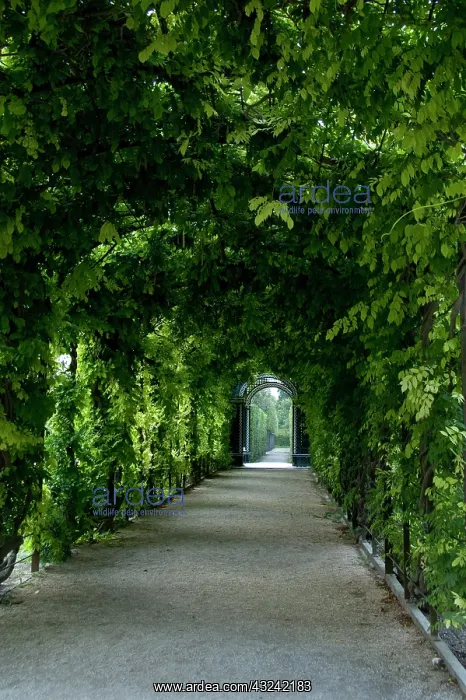 : Austria, Vienna. Maria Theresa's baroque : Austria, Vienna. Maria Theresa's baroque