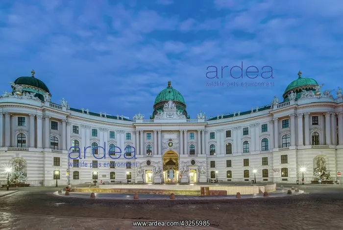  : Austria, Vienna, Michaelerplaz, Hofburg