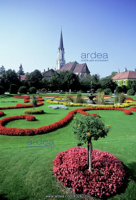 : Austria, Vienna. Schonbrunn Palace, Botanical : Austria, Vienna. Schonbrunn Palace, Botanical