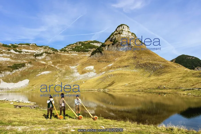 : The Austrian alphorn trio Klangholz plays the alphorn at the : The Austrian alphorn trio Klangholz plays the alphorn at the