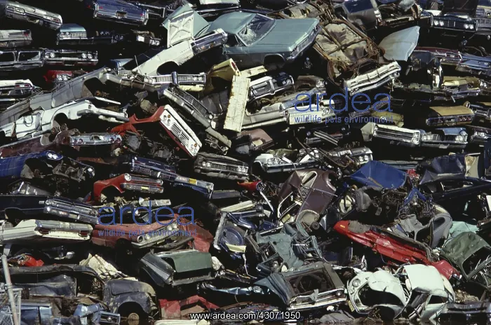 : Auto Junkyard : Auto Junkyard