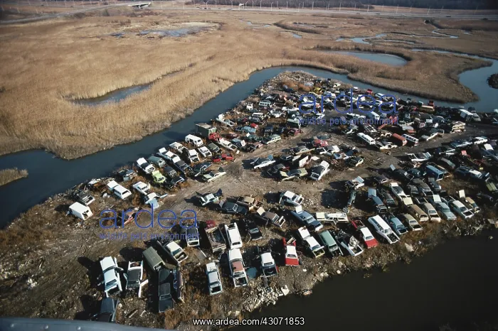 : Automobile Junk Yard : Automobile Junk Yard