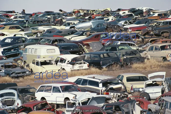 : Automobile Junk Yard : Automobile Junk Yard