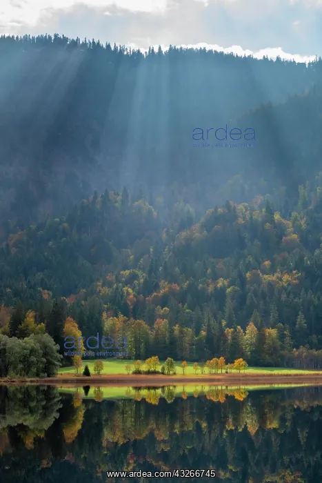 : Autumn atmosphere at the Weitsee, Reit im Winkl : Autumn atmosphere at the Weitsee, Reit im Winkl