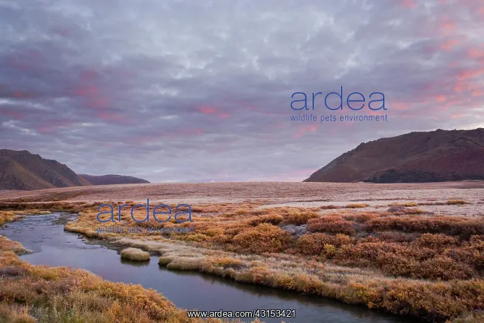 : Autumn colors on a frosty fall morning : Autumn colors on a frosty fall morning