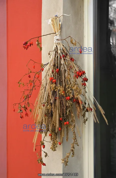 : Autumn decoration, autumnal bouquet on a window : Autumn decoration, autumnal bouquet on a window