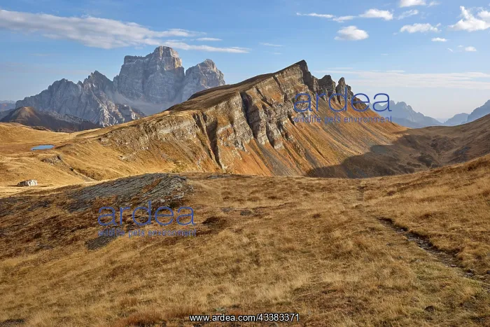 : Autumn in the Dolomites, Monte Pelmo, Monte Mondeval : Autumn in the Dolomites, Monte Pelmo, Monte Mondeval