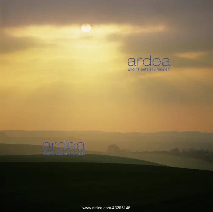 : Autumn farmland, Hertfordshire, UK : Autumn farmland, Hertfordshire, UK