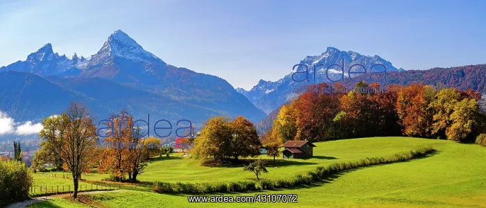 : Autumn landscape, in the background the mountains : Autumn landscape, in the background the mountains
