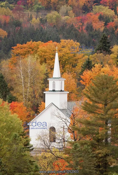 : Autumn landscape with church, Vermont, USA : Autumn landscape with church, Vermont, USA