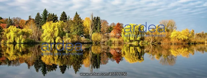 : Autumn landscape in the north of Berlin, Berlin : Autumn landscape in the north of Berlin, Berlin