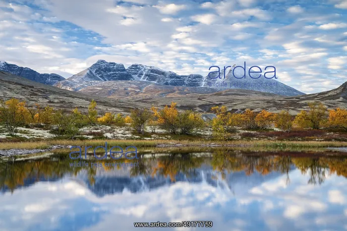 : Autumn landscape in Rondane National Park : Autumn landscape in Rondane National Park