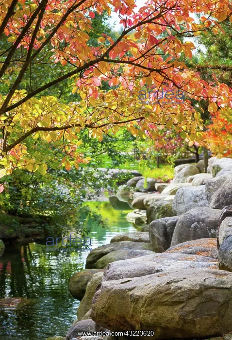 : Autumn landscape in a small park, Berlin, Germany : Autumn landscape in a small park, Berlin, Germany