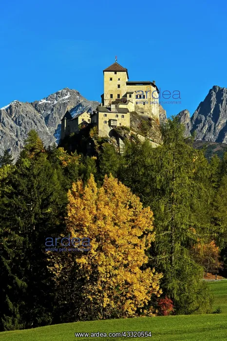 : Autumn landscape with Tarasp Castle, Tarasp, Scuol : Autumn landscape with Tarasp Castle, Tarasp, Scuol