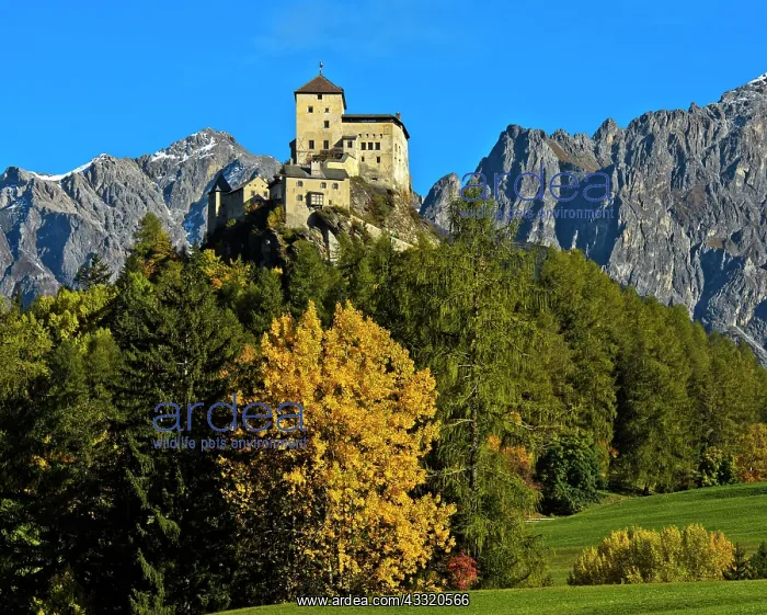 : Autumn landscape with Tarasp Castle, Tarasp, Scuol : Autumn landscape with Tarasp Castle, Tarasp, Scuol