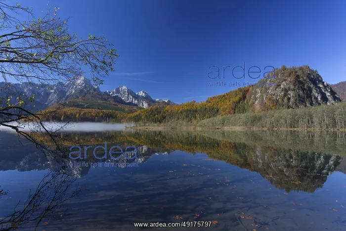 : Autumn mood at lake Almsee, Grunau : Autumn mood at lake Almsee, Grunau